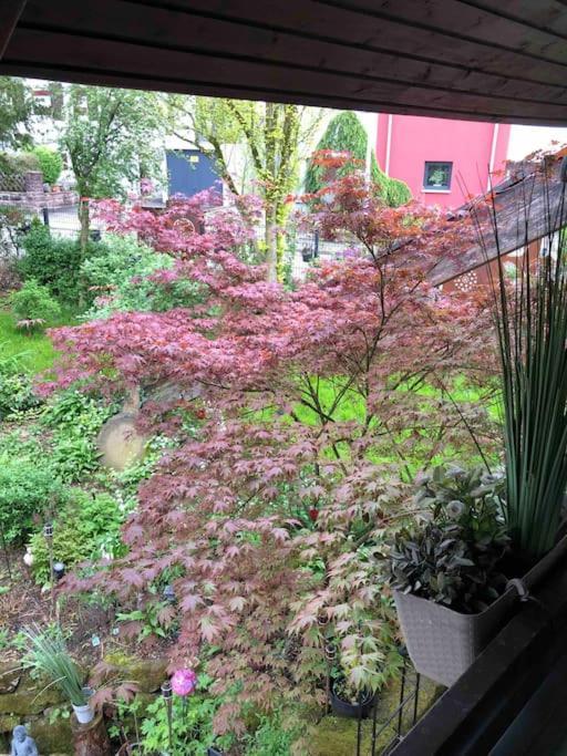 Willkommen Im Casa Felice, Der Wohlfuehl Oase Mit Balkon, 4 Betten Und Homeoffice Platz Aidlingen Exterior foto